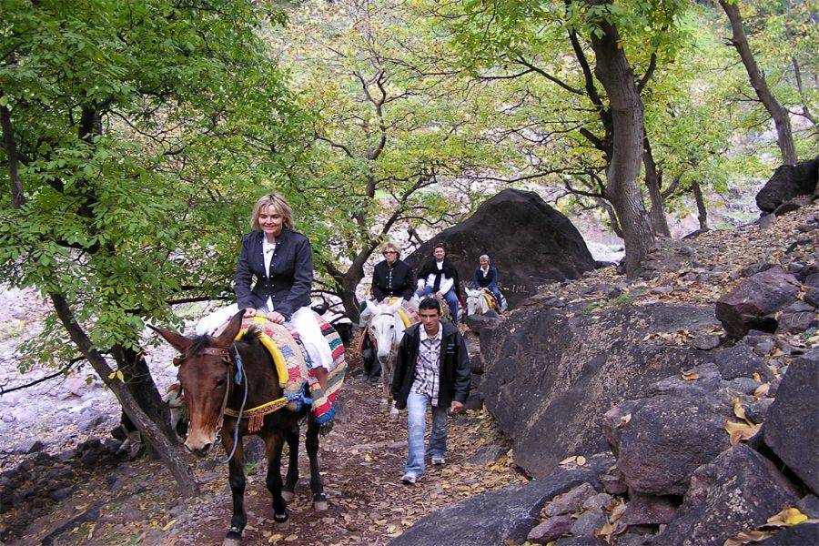 在Kasbah Toubkal享用美味的午餐游览Asni和Imlil