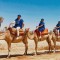 骑骆驼在马拉喀什的骆驼