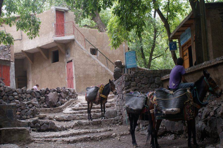 在Kasbah Toubkal享用美味的午餐游览Asni和Imlil