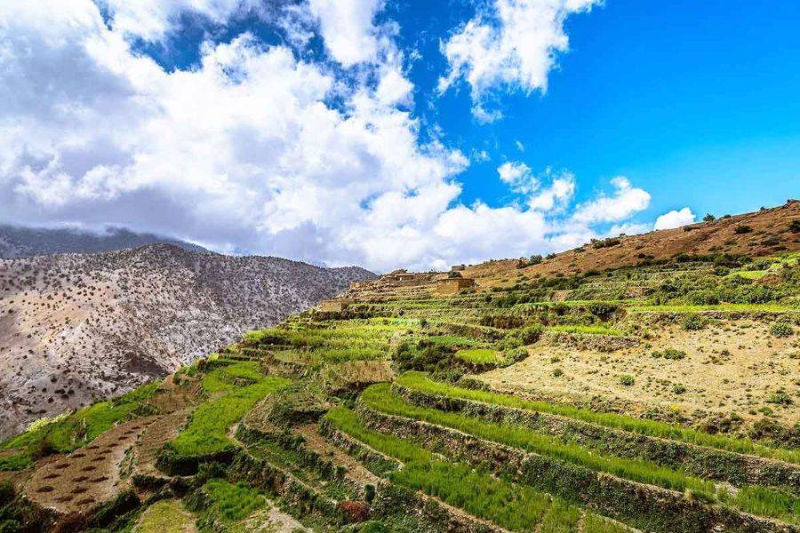 在Kasbah Toubkal享用美味的午餐游览Asni和Imlil