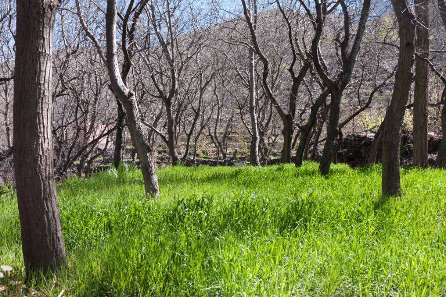 在Kasbah Toubkal享用美味的午餐游览Asni和Imlil